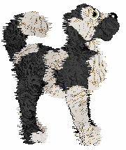 Amenity's Dial-Up Daydream — “Eclairon”