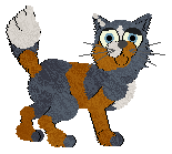 Profile image of MAT/Rattlesnake's Rose of Monona