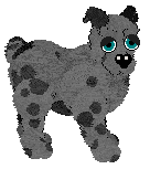 EC's That's A Jowlz If I've Ever Seen One — “Jowlz”