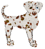 Sz's Paranoid Android at Ephemera — “Coquette”