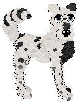 Krunchez Cast Iron — “Skillet”