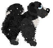 Krunchez The Slowest Loris — “Loris”