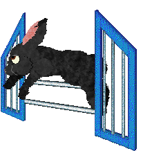 seta's Herald of Good Fortune — “Lucky”