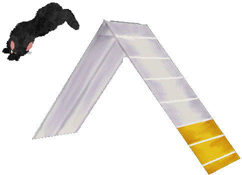 seta's Herald of Good Fortune — “Lucky”