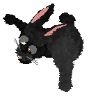 seta's Herald of Good Fortune — “Lucky”