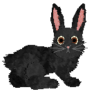 seta's Herald of Good Fortune — “Lucky”