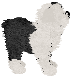 Cargo's Sacred Texts — “Cadmon”