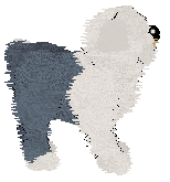 Cargo's Illuminated Manuscript — “Lumi”