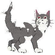 Moth's Now That's a Great White! at Vanilla — “Finn”