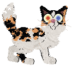 Perfume/Calluna’s Brave Lark — “Poppy”