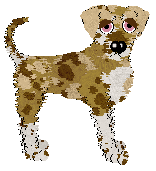 Opolire’s Well Loved Friend — “Teddy”