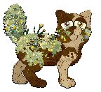 Profile image of Calluna's Where the Wildflowers Grow