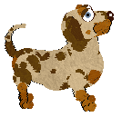 Cargo's Honey Mist Auburn — “Auburn”