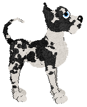 Cargo's Rainier — “Rainier”