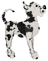 Cargo's Seraphim — “Seraphim”