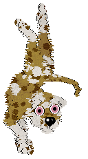 Opolire's Everyone's Favorite Treat at Vanilla — “Biscuit”