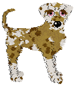 Opolire's Everyone's Favorite Treat at Vanilla — “Biscuit”