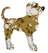 Opolire's Everyone's Favorite Treat at Vanilla — “Biscuit”