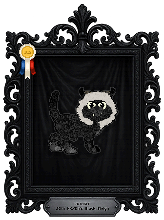 Profile image of HK/Dh's Black Sleigh