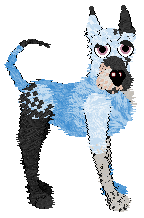 Profile image of Tangled/Dh's Blue Hour