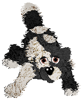 Amenity/Dh's In Vino Veritas — “Claret”