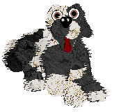 Amenity/Dh's In Vino Veritas — “Claret”