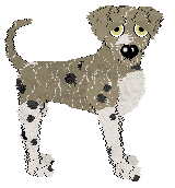 Sz/Dh's Fields of Gold — “Wicker”