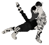 Krunchez/Dh's Set in Blackletter — “Carter”