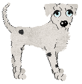 Profile image of Lulu's Serenade of Joy @ Mockingbird