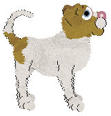 Cargo's Chia Pet — “Lissa”