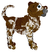 Cargo's Starlight Symphony — “Cricket”