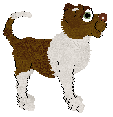 MMK's Deserved Earth — “Turmeric”