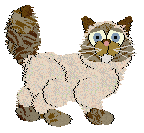 Cargo's Chocolate Drizzle — “Nougat”