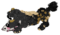 Funfetti/Poppyhill's Allsorts of Fun — “Liquorice”