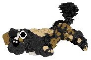 Funfetti/Poppyhill's Allsorts of Fun — “Liquorice”