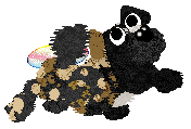 Funfetti/Poppyhill's Allsorts of Fun — “Liquorice”