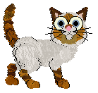 Cargo's Around the Campfire — “Bonfire”