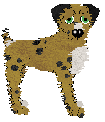 Dandy/Poppyhill's Yield To Temptation — “Strom”