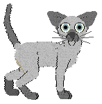 Cargo's Sprig of Acacia — “Acacia”