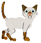 Cargo's Miso Soup — “Miso”