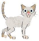 Cargo's Raspberry Beret — “Beret”