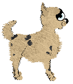 EC's Southern Belle — “Francesca”