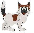 HK's Blep at Wild Road — “Blep”