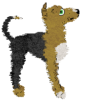 Perfume's Banana Pie at Wild Road — “Banana Pie”