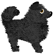 Wild Road's Clean Laundry — “Robijntje”