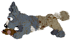 Funfetti/Poppyhill's Dressed in a Daydream — “Chiffon”