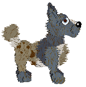 Funfetti/Poppyhill's Dressed in a Daydream — “Chiffon”