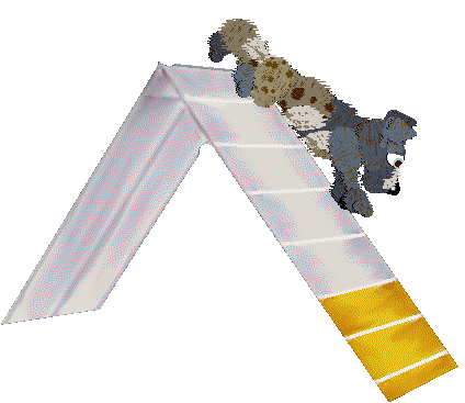 Funfetti/Poppyhill's Dressed in a Daydream — “Chiffon”