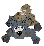 Funfetti/Poppyhill's Dressed in a Daydream — “Chiffon”