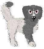 Profile image of PH's Second-Born Son